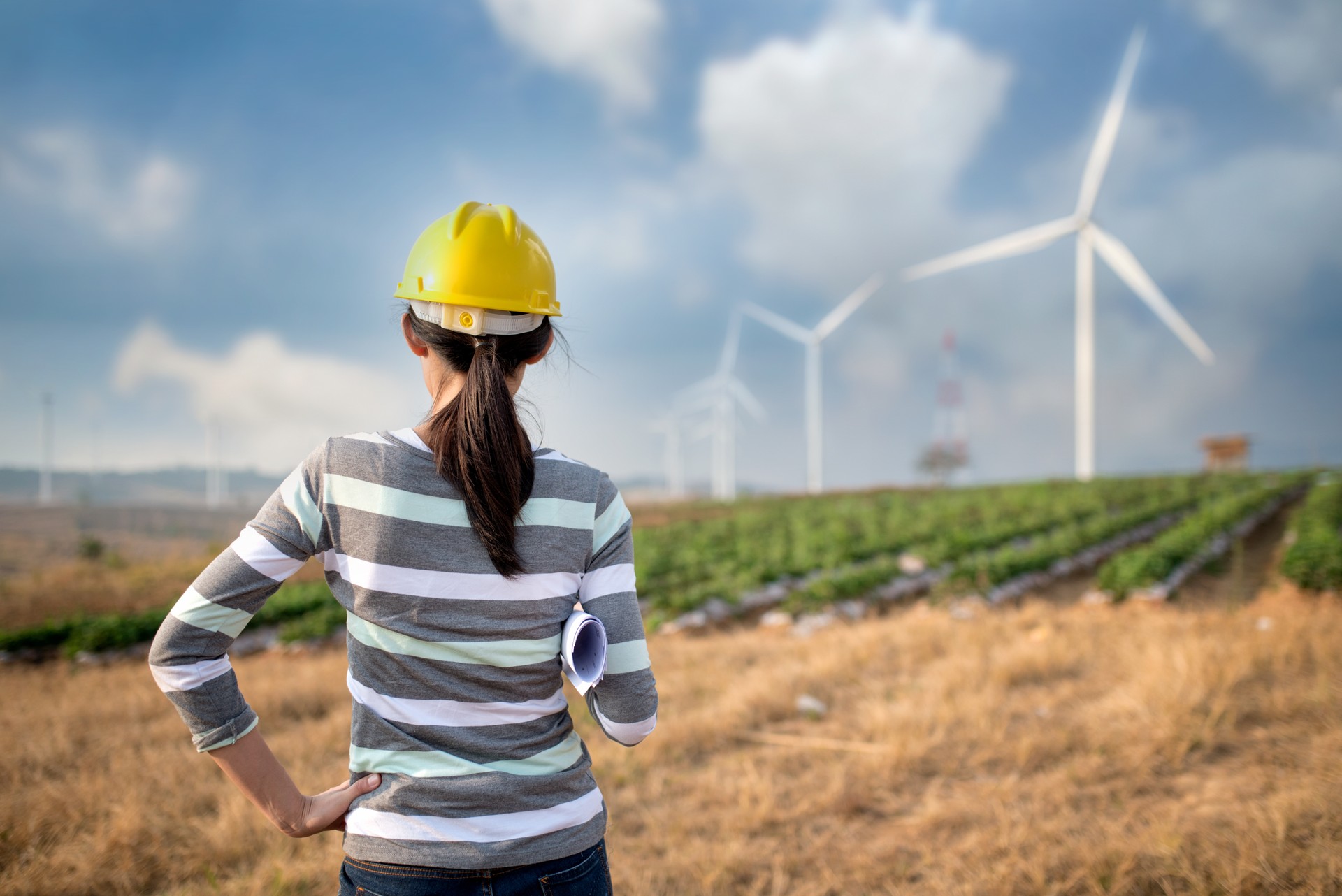 Curso de Energias Renováveis
